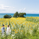 長崎鼻での前撮りイメージ