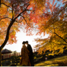 渓石園での前撮りイメージ