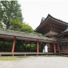 柞原八幡宮での前撮りイメージ